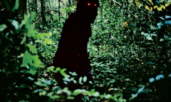 O Tio Boonmee Que se Lembra das Suas Vidas Anteriores MIDAS FILMES